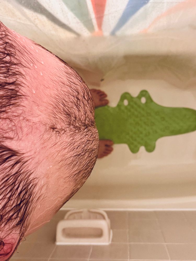 Is it an alligator or crocodile? Who knows. 