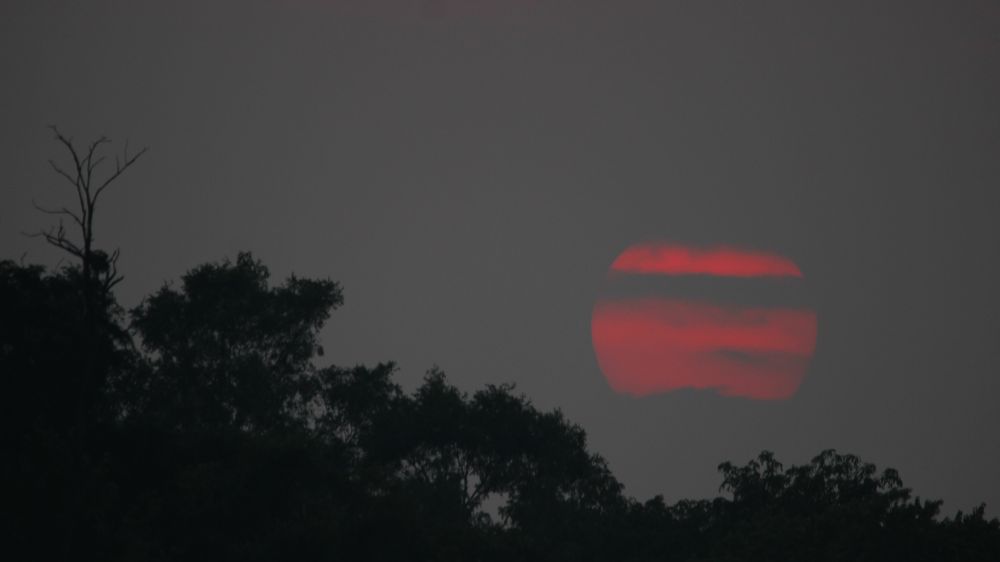 Sunset photo of a red sun setting over a treeline in a grey sky with grey clouds forming stripes across the sun.