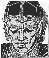 An elf man glares at the observer from beneath bushy eyebrows. His ears are pierced with many rings and rows of beaded necklaces circle his neck. He has an embroidered velvet cap on his head.