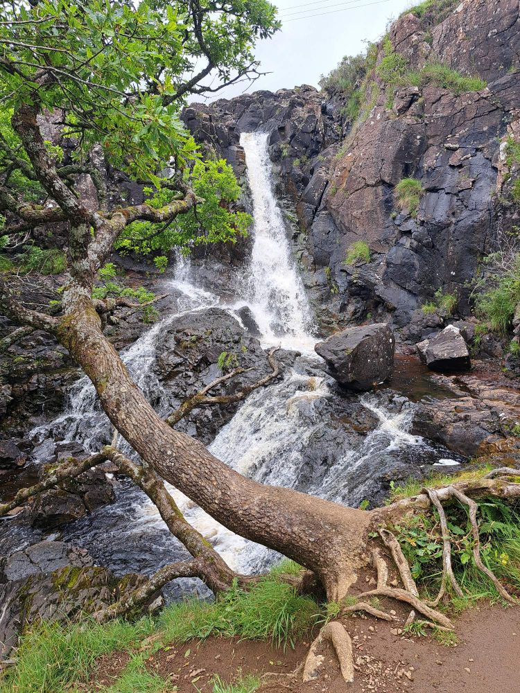 A waterfall. There's a tree in the foreground sticking out across the burn