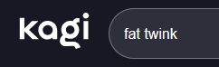 screenshot of a kagi search that says "fat twink". only the search bar is shown.