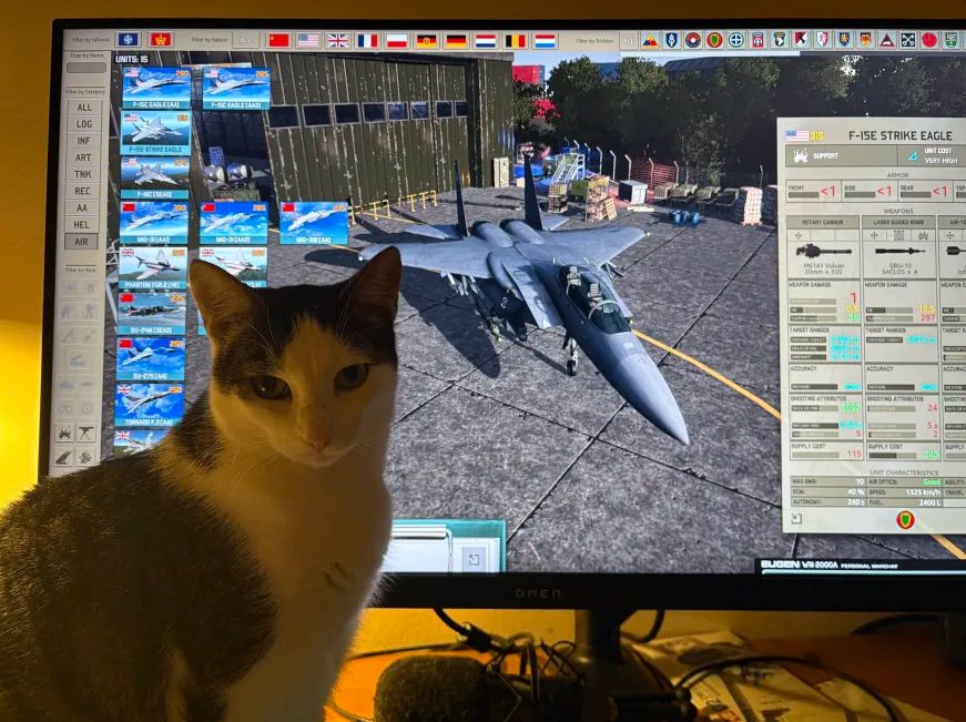 My cat, omniously blocking my view in front of my display.