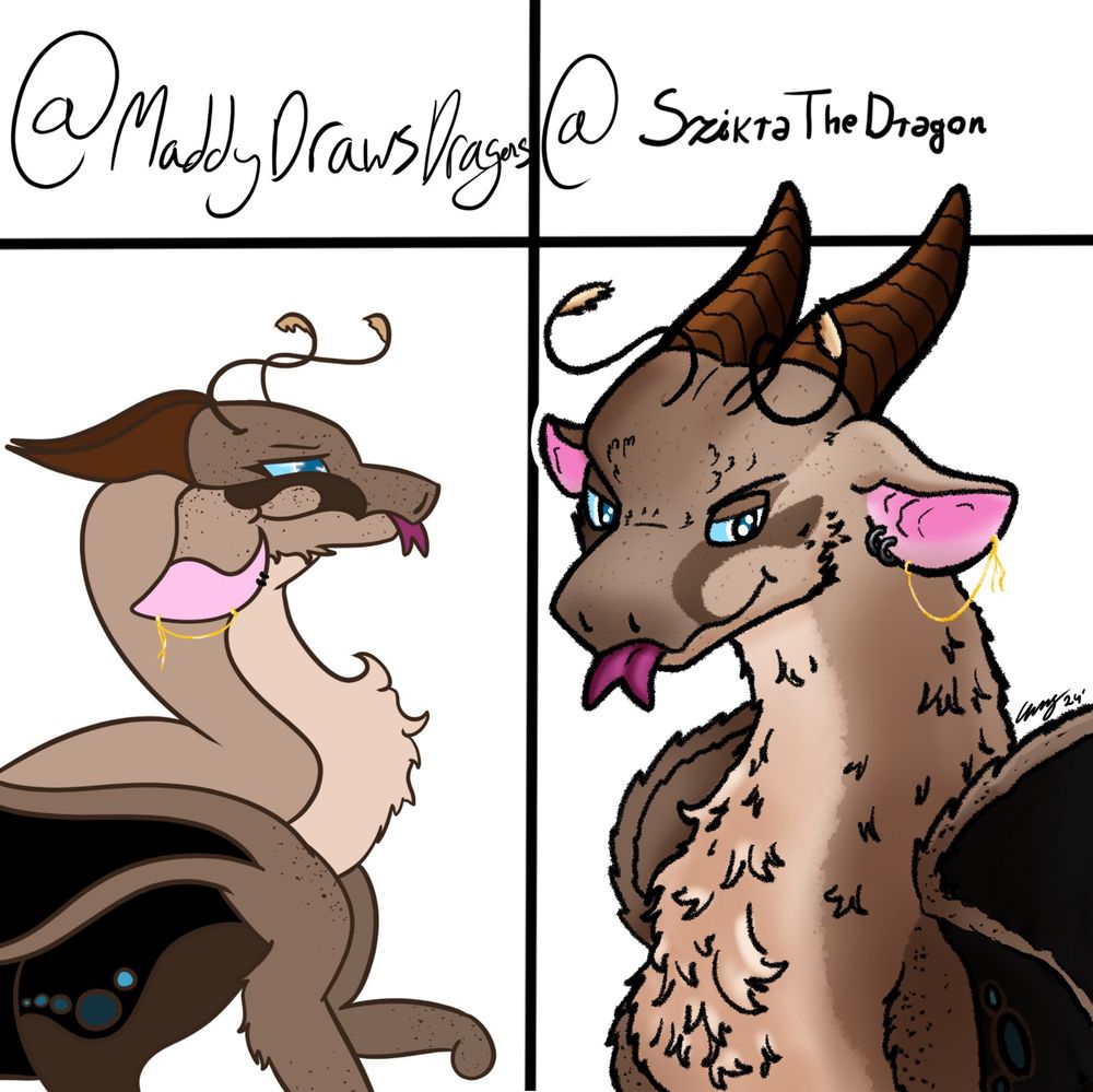 Side by side views of the same dragon character one by Maddy, one by me. She is a fluffy, moth inspired dragon, sticking her tongue out.