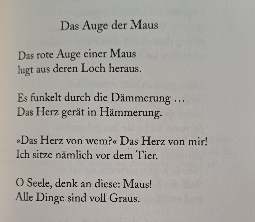 "Das Auge der Maus" - Gedicht von Christian Morgenstern zum Abschluss des 6.11.2024