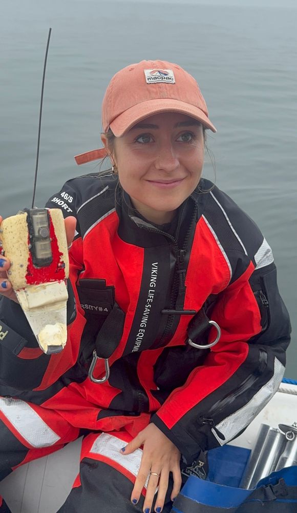 In some cases larger data amounts are being sampled, and the amount of data is too large to transmit to a satellite. Instead, the floating tags need to be recovered after detaching from the animal.