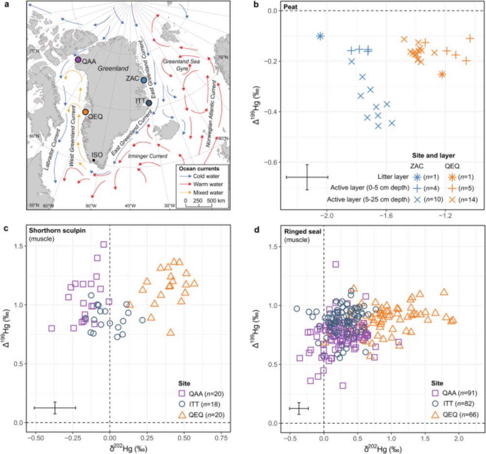 Stable isotopes unveil ocean transport of legacy mercury into Arctic food webs - Nature Communications