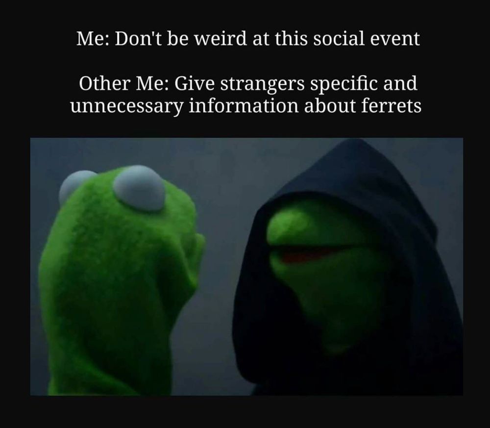 Me: don't be weird at this social event.
Other me: if stranger, specific and unnecessary information about ferrets.