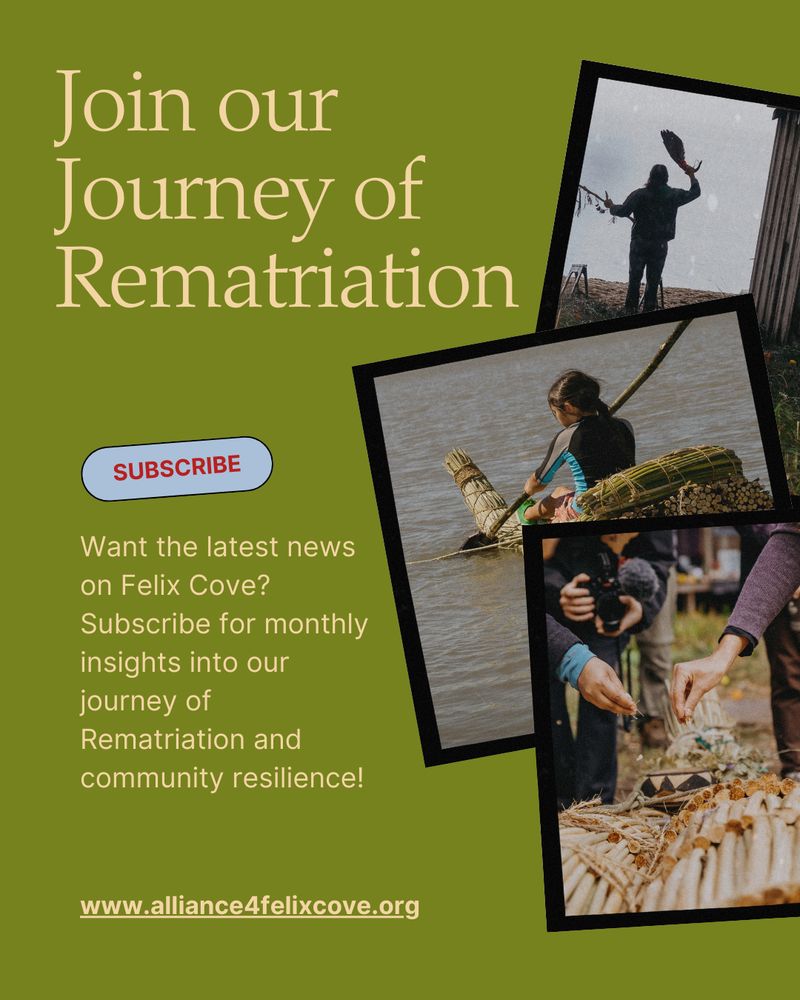 
[image description: The graphic, set against a green background, invites viewers to "Join our Journey of Rematriation." A red "SUBSCRIBE" button encourages people to sign up for monthly updates about Felix Cove's rematriation and community resilience. It includes a link: www.alliance4felixcove.org. Three collage images highlight moments of connection: a person praying at the Felix Family ancestral land, someone paddling a tule boat on Tomales Bay, and hands blessing a tule canoe with dried plants.]
Image Credit: Hewitt Photography 