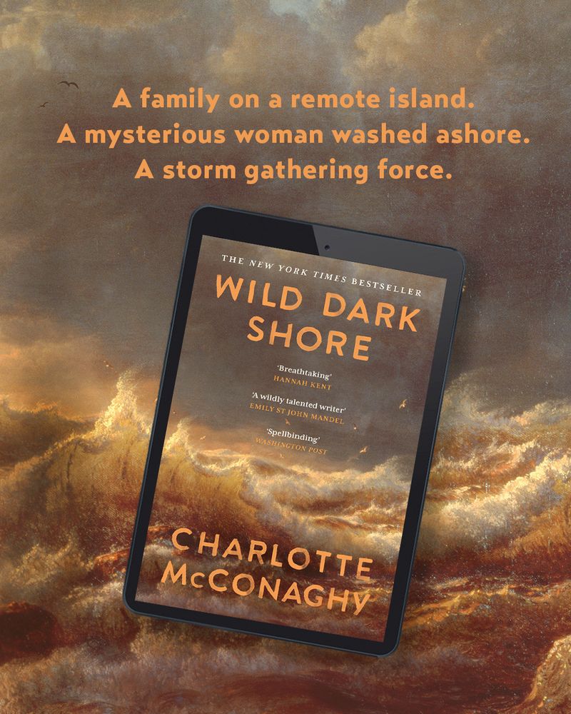 A family on a remote island.
A Mysterious woman washed ashore.
A storm gathering force.