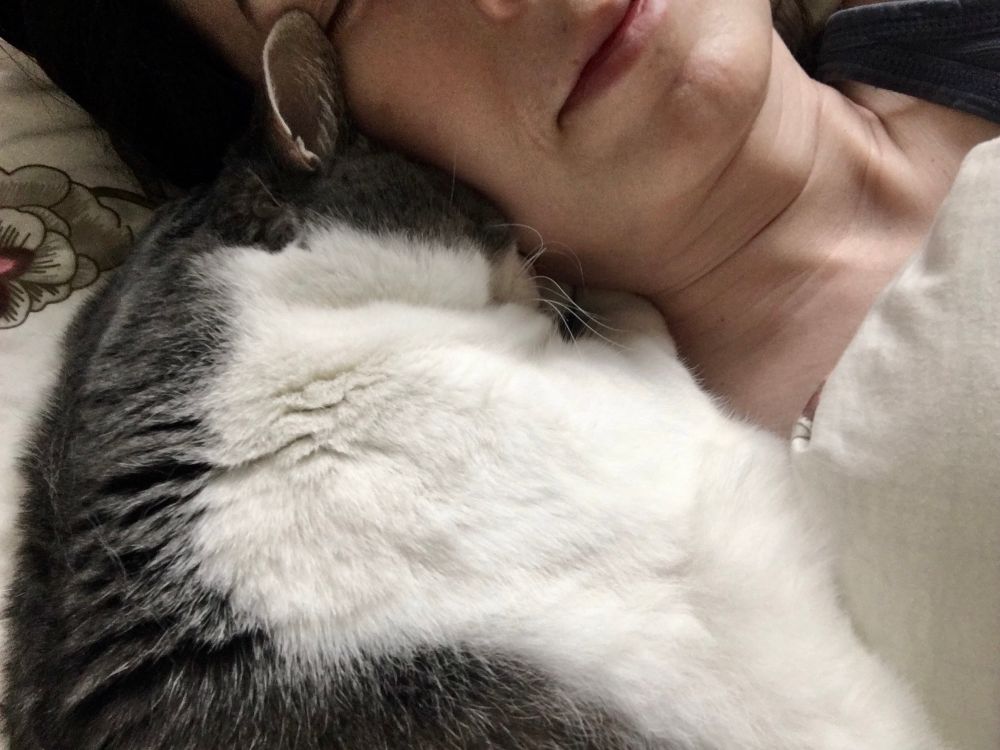 a cat asleep with his face curled up against his person’s face