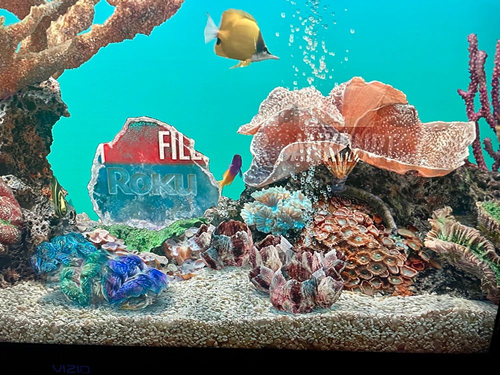 An aquarium screensaver with the faint words “Filed ….ankruptcy”