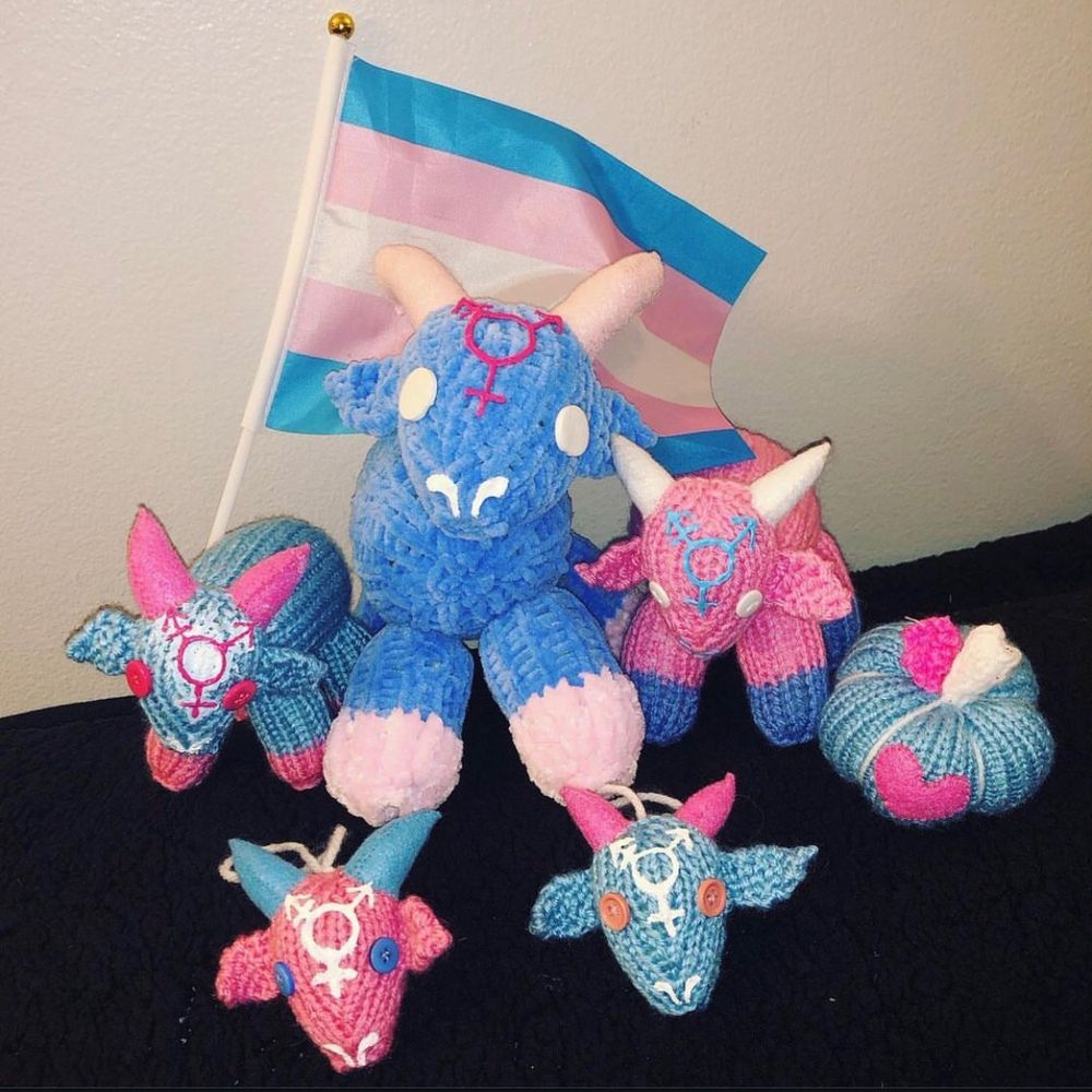 Several knitted goats and goat heads in the trans colors, with a trans Pride flag hanging behind them. 