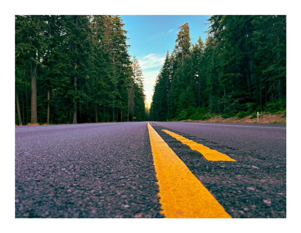 Photo of a scenic road through the forest, taken from directly on the yellow center line 