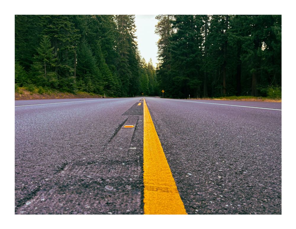 Photo of a scenic road through the forest, taken from directly on the yellow center line 