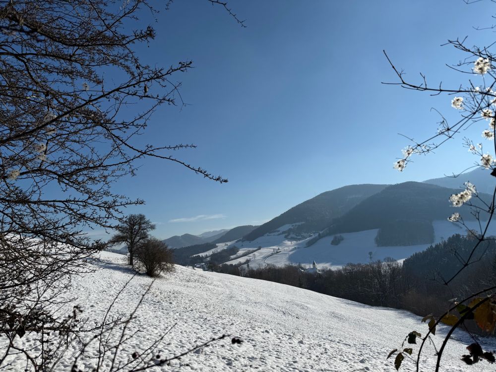 Eine verschneite, von links nach rechts bergab gehende, Wiese. Links in der Mitte des Bildes zwei Bäume, im Hintergrund Berge, oben mit Wald, ab der Mitte verschneit.
Von links und rechts ragen dünne Zweige in das Bild. 