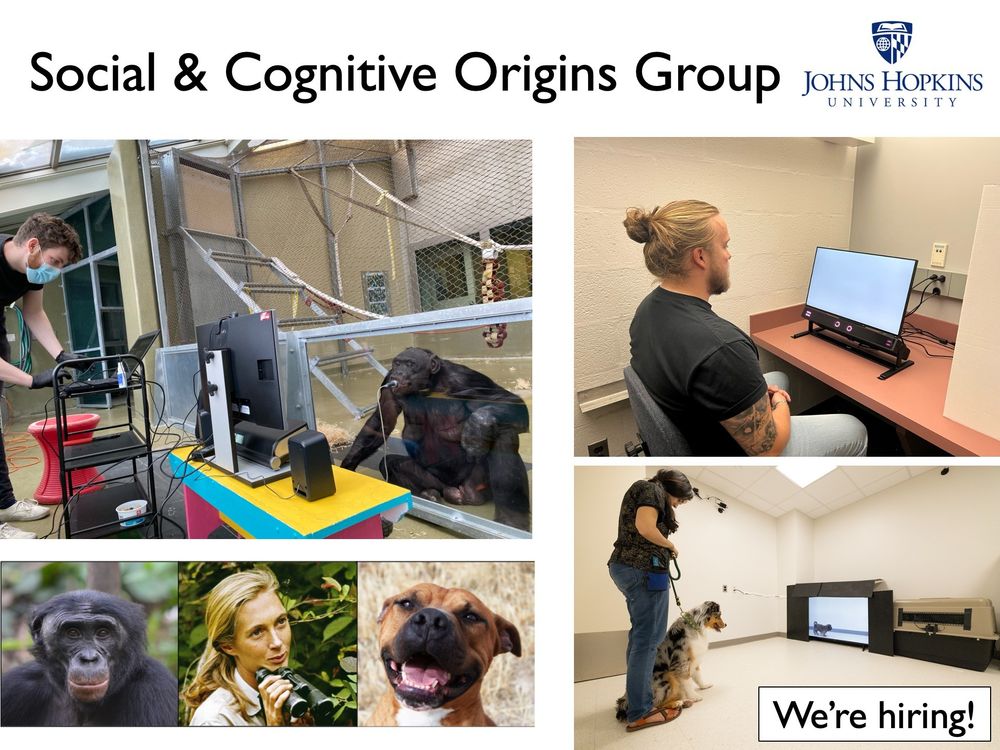 The Social & Cognitive Origins Group at Johns Hopkins University studies how humans and other animals think.