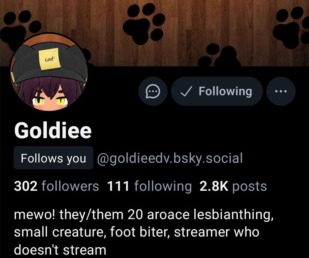 This image is a display of the legendary Goldie and their bluesky account (follow them)!