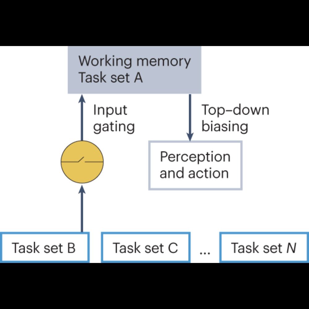 Principles of cognitive control over task focus and task switching - Nature Reviews Psychology