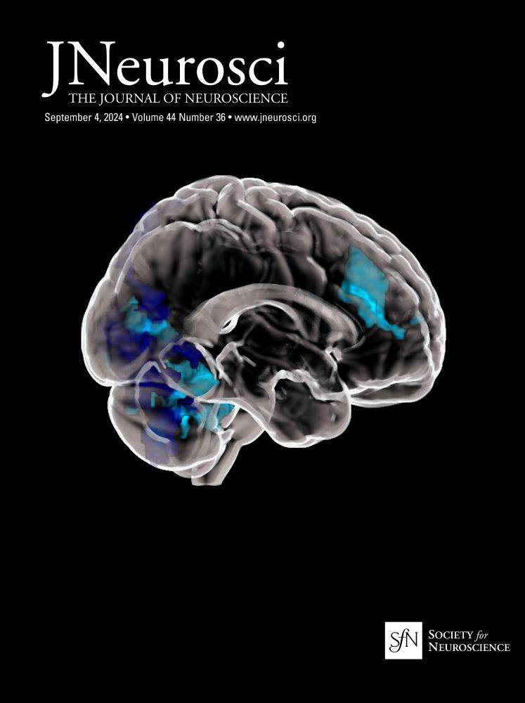 Effects of Context Changes on Memory Reactivation