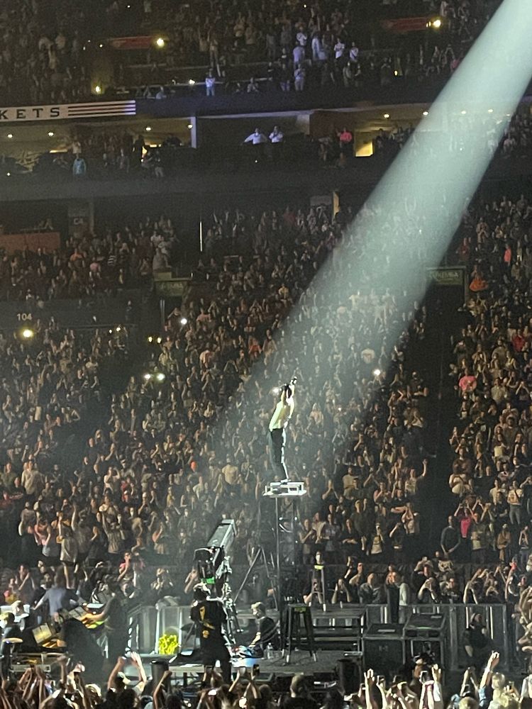 A picture of Tyler Joseph standing on a pedestal high in the air with a beam of light spotlighting him. A crowd of fans are seated all around him. 