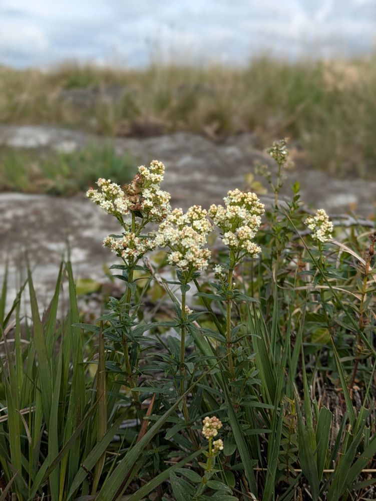 Unknown... help please!