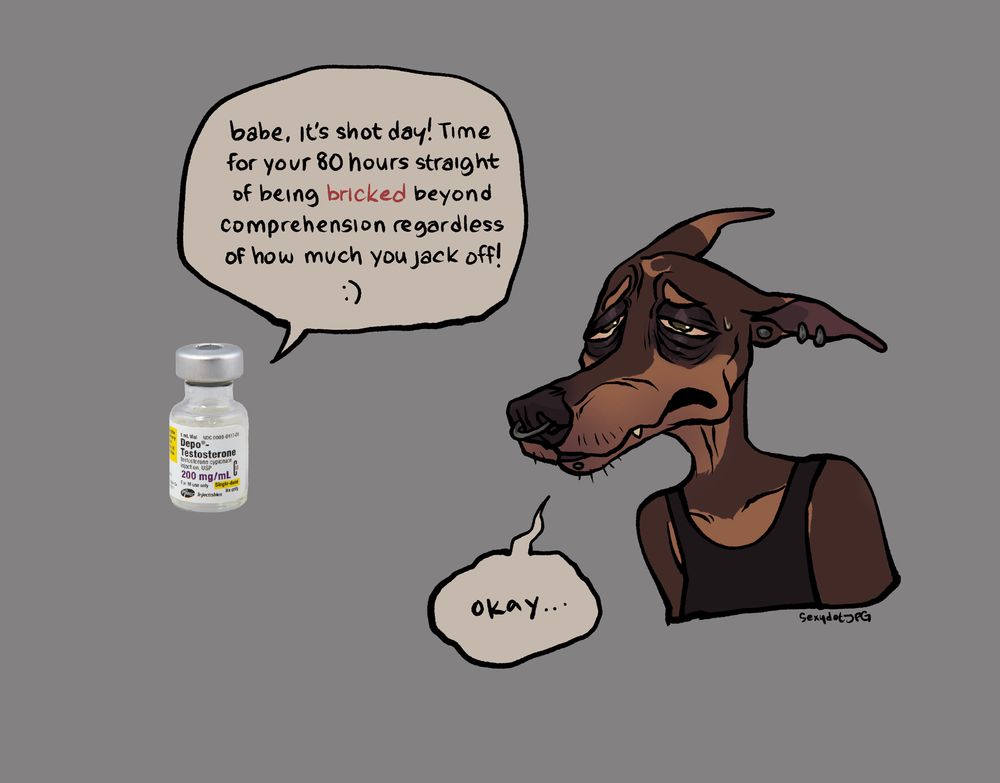 a one panel comic referring to a meme. It shows a bottle of testosterone speaking to my Doberman fursona. Saying in the speech bubble: “babe, it’s shot day! Time for your 80 hours straight of being bricked beyond comprehension regardless of how much you jack off!” 
The very tired looking Doberman Kirby responds weakly, “okay…”