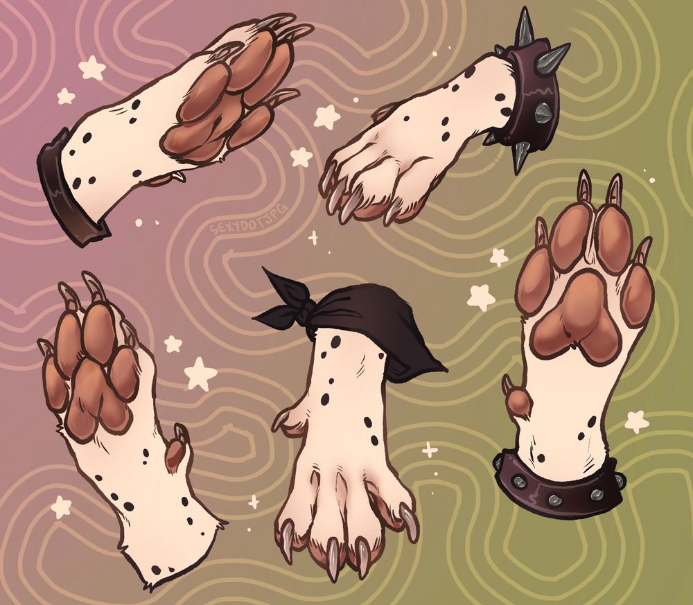 A bunch of different angle drawings of a Dalmatian paw, in different adornments on the wrist. The pads are pink with off white claws 
