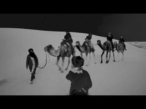 Stygian Nectar Music Video