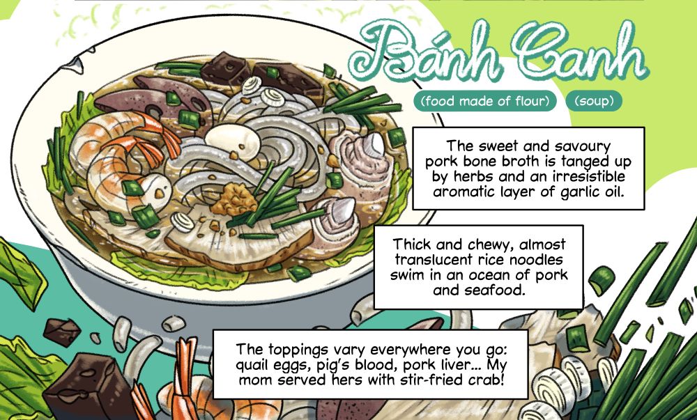 Another lovingly illustrated digital art of a bowl of Banh Canh - Vietnamese udon noodle soup. The "udon" in question is actually drop rice noodle that's thick and slightly translucent. Swimming in the sea of sweet pork broth are cooked pork cuts, hock hams, blocks of congealed pig's blood, cooked shrimps, chicken liver, and a quail egg nestled amongst chives, lettuce, and other herbs. These ingredients also decorate the bottom of the illustration.

Comic-style narration boxes read: The sweet and savoury pork bone broth is tanged up by herbs and an irresistible aromatic layer of garlic oil. Thick and chewy, almost translucent rice noodles swim in an ocean of pork and sea food. The toppings vary everywhere you go: quail eggs, pig's blood, pork liver... My mom served hers with stir-fried crab!