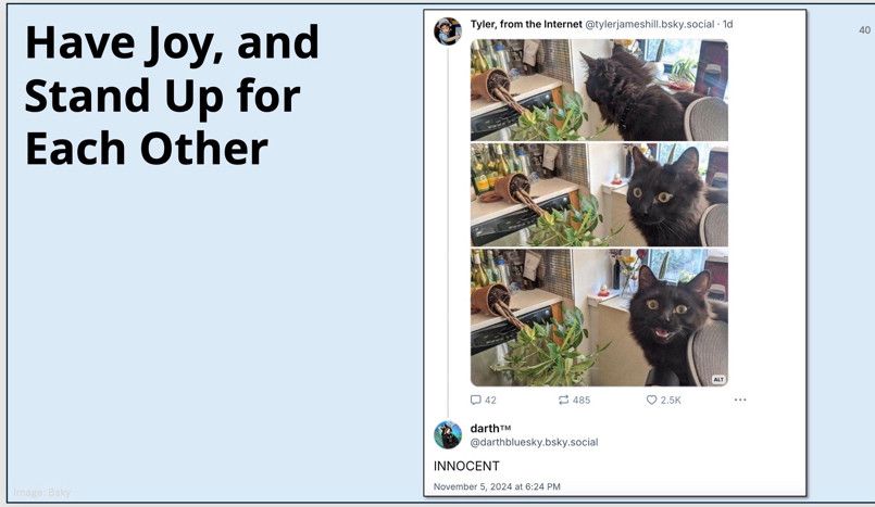 my slide from my talk that says Have Joy, and Stand Up for Each Other and then has a screenshot of a post where a cat is looking at a plant that's knocked over and then smiling, and then darth says innocent  https://bsky.app/profile/darthbluesky.bsky.social/post/3laaeuc373z23