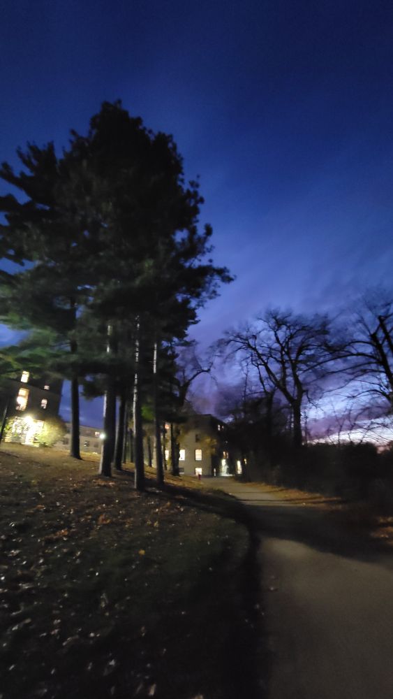 Pines soar with night sky and a soft lit path