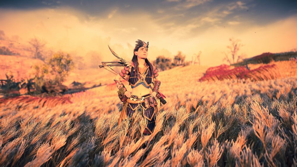 Aloy stands confidently in a large field of desert grass.