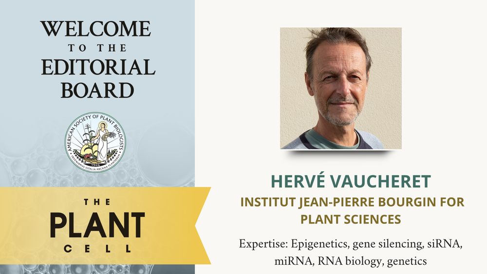 Image text: Welcome to the Editorial Board. Hervé Vaucheret. Institut Jean-Pierre Bourgin for Plant Sciences. Expertise: Epigenetics, gene silencing, siRNA, miRNA, RNA biology, genetics. Featuring Hervé Vaucheret's photo and ASPB and The Plant Cell logos
