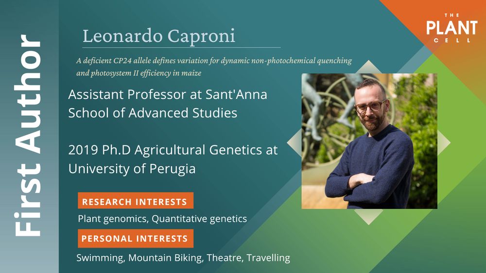 Leonardo Caproni is the First Author of A deficient CP24 allele defines variation for dynamic non-photochemical quenching and photosystem II efficiency in maize published 25 March 2025. Caproni is an Assistant Professor at Sant'Anna School of Advanced Studies. Educational background includes a 2019 Ph.D in Agricultural Genetics at the University of Perugia. Research interests include Plant genomics and quantitative genetics. Personal interests include Swimming, Mountain Biking, Theatre, and Travelling.
