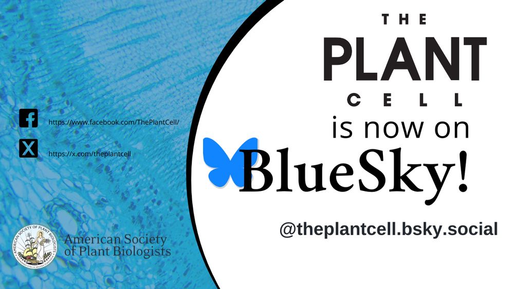 Image Text: The Plant Cell is now on BlueSky! @theplantcell.bsky.social. Featuring The Plant Cell logo and social media account URLs, on a plant science-themed background
