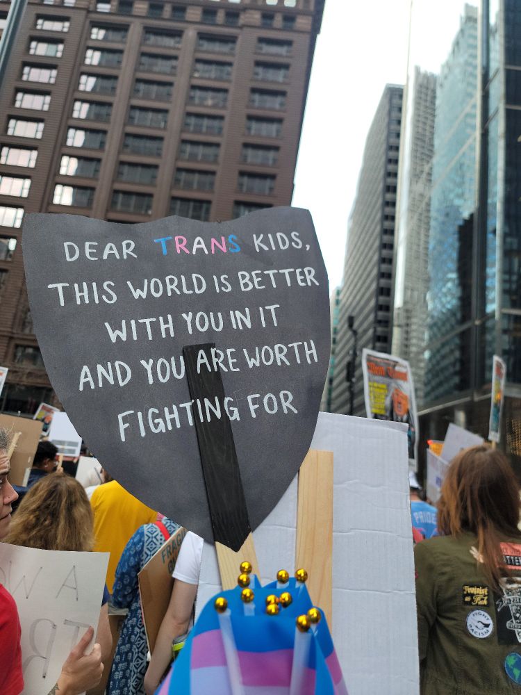 A sign in the shape of a shield with the words, "Dear trans kids, This world is better with you in it and you are worth fighting for"