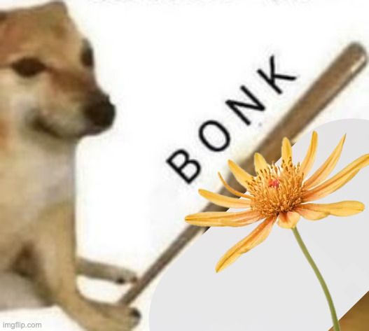 bonk horny meme with a flower getting bonked