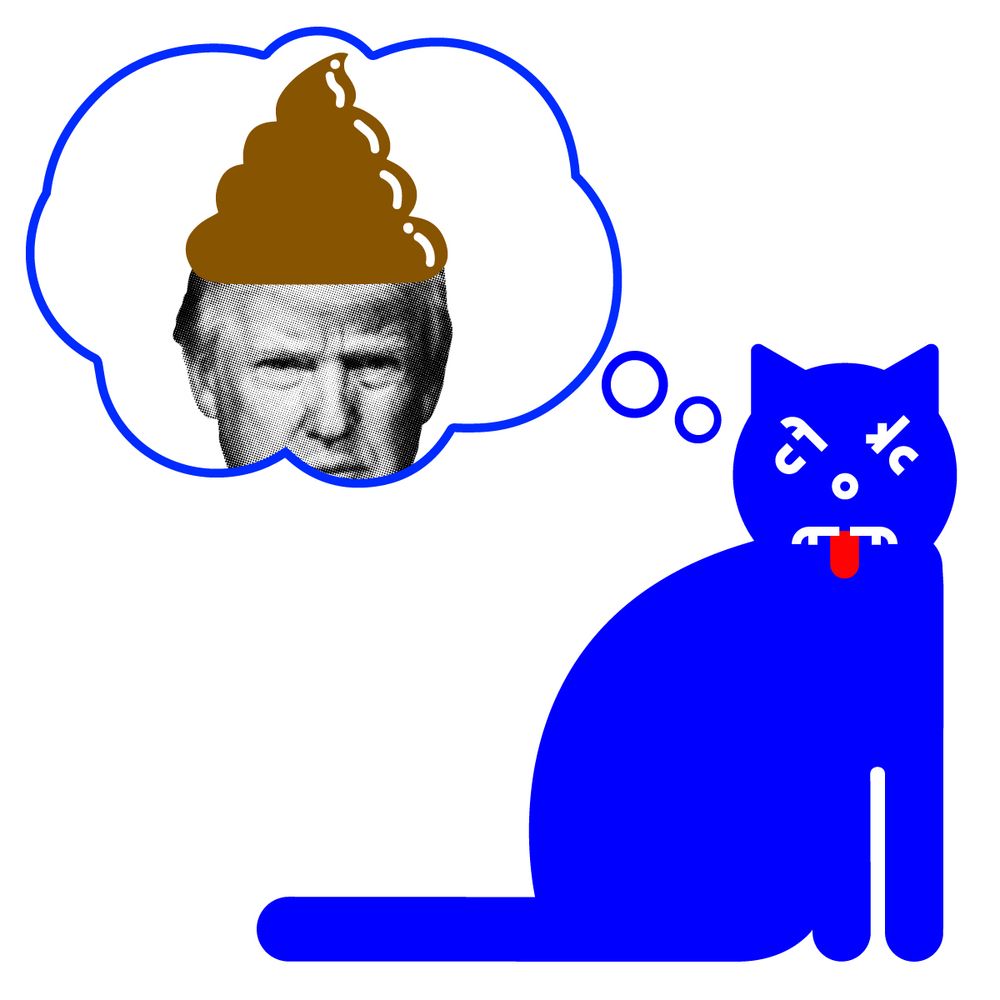 Comment image