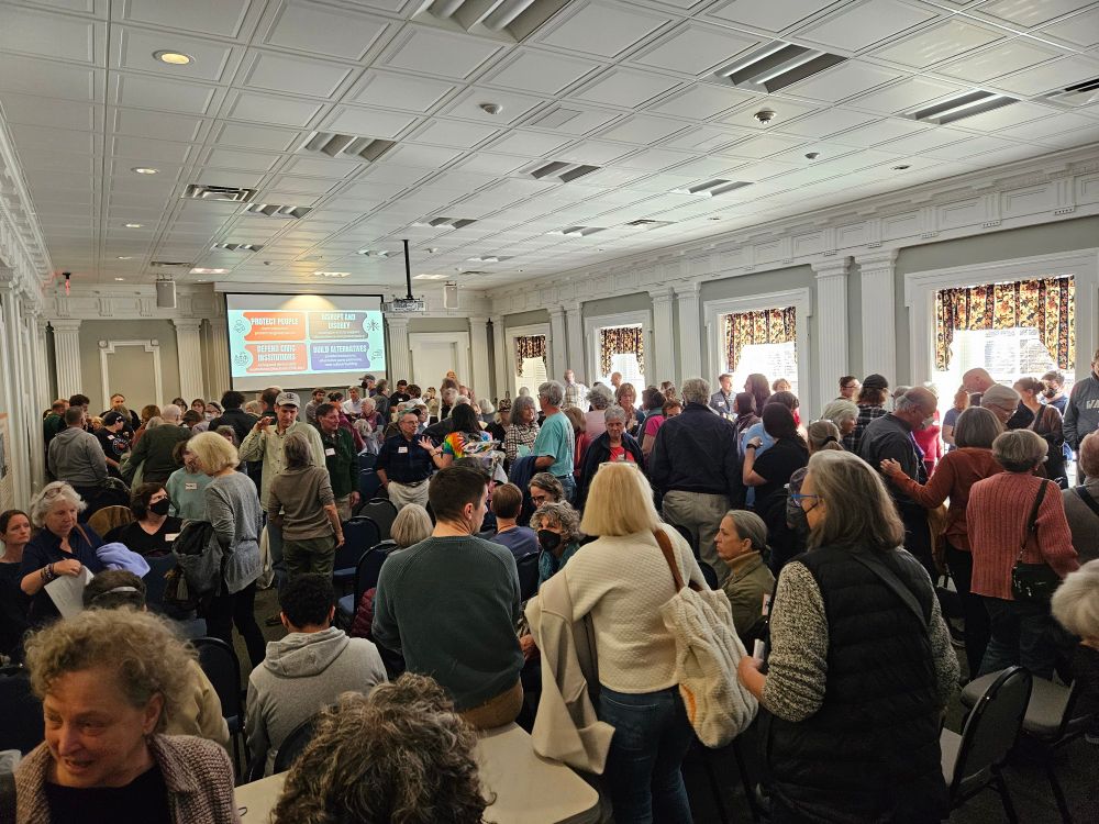 Activists at Indivisible rally