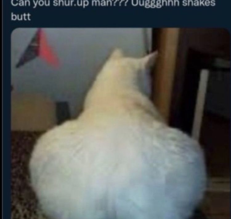 Can you shur.up man??? Uuggghhh shakes butt