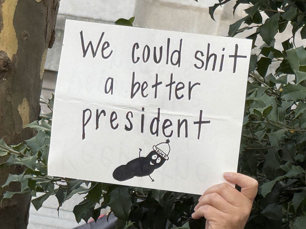 A sign reading “we could shit a better president” with a cartoon picture of a turd wearing a hat that says Trump 