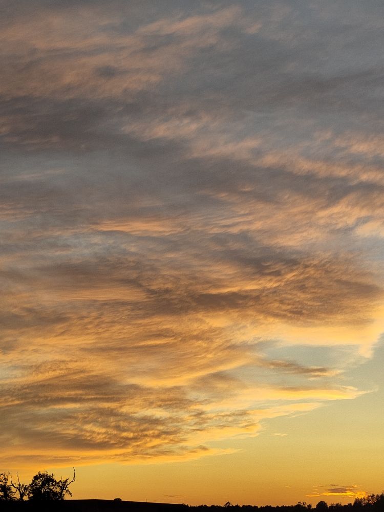 Sunset painting whispy clouds orange and yellow in the background, and hints of blue evening sky through all of that. 