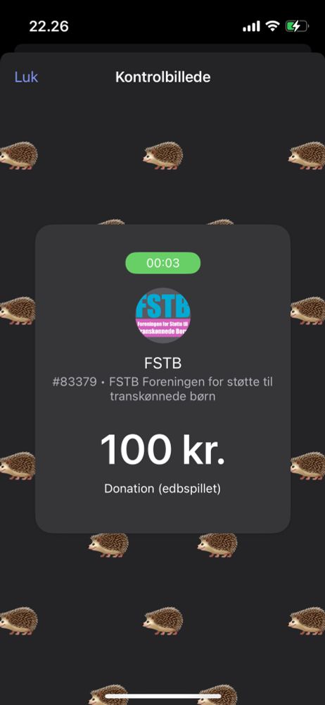 Donation på 100kr screenshot