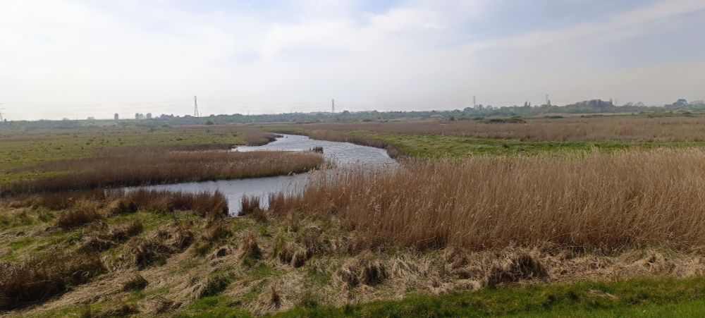 A winding river flows through a grassy marshland under a cloudy sky, with distant trees and power lines on the horizon.