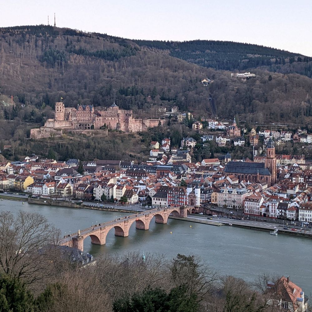 Bird view of the old town of Heidelberg with the "Alte Brücke" (Old Bridge) over the river Neckar and "Schloss Heidelberg" (Castle Heidelberg) overlooking the city