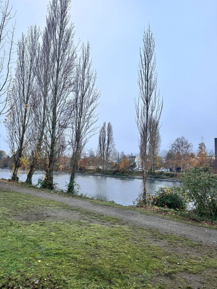 Ship Canal in Seattle on Thanksgiving.