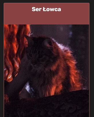 Ser Pounce from Game of Thrones. In Polish translation named Ser Łowca (verbatim Ser Hunter).