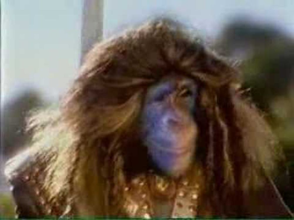 Monkey-ed Movie: Braveheart