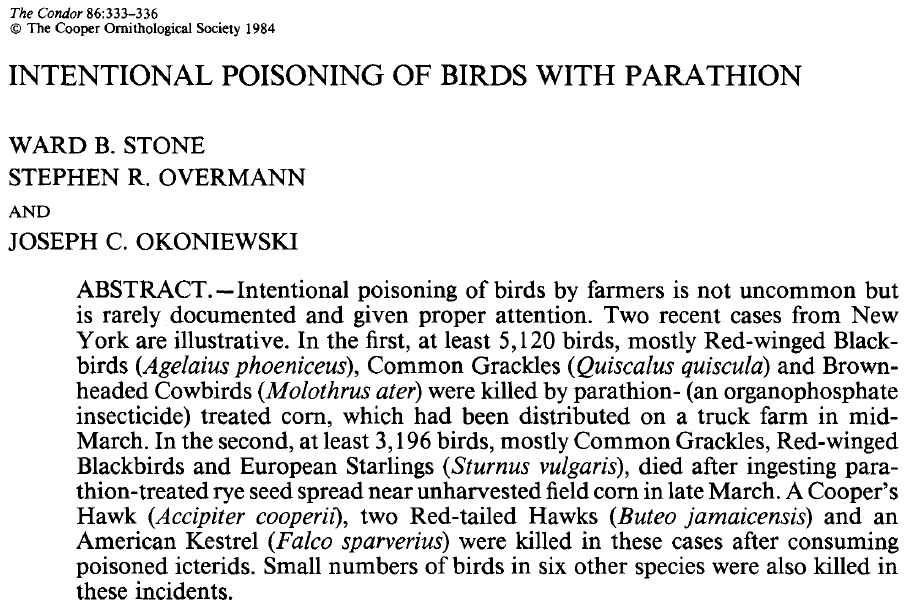 Résumé de l’article “Intentional Poisoning of Birds with Parathion”, par Ward B. Stone, Stephen R. Overmann et Joseph C. Okoniewski.
Intentional poisoning of birds by farmers is not uncommon but is rarely documented and given proper attention. Two recent cases from New York are illustrative. In the first, at least 5,120 birds, mostly Red-winged Black-birds (Agelaius phoeniceus), Common Grackles (Quiscalus quiscula) and Brown-headed Cowbirds (Molothrus ater) were killed by parathion- (an organophosphate insecticide) treated corn, which had been distributed on a truck farm in mid-March. In the second, at least 3,196 birds, mostly Common Grackles, Red-winged Blackbirds and European Starlings (Sturnus vulgaris), died after ingesting parathion-treated rye seed spread near unharvested field corn in late March. A Cooper's Hawk (Accipiter cooperii), two Red-tailed Hawks (Buteo jamaicensis) and an American Kestrel (Falco sparverius) were killed in these cases after consuming poisoned icterids. Small numbers of birds in six other species were also killed in these incidents.