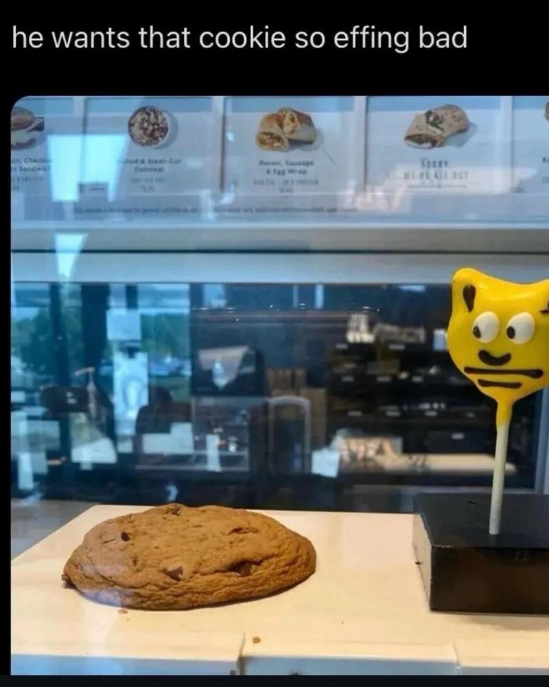 a meme with the caption “he wants that cookie so effing bad”. pictured is a starbucks cake pop with a cartoon face that appears to be looking down at a chocolate chip cookie
